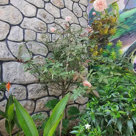 Trang An Hana Homestay Nguyen Ngoai Exterior photo