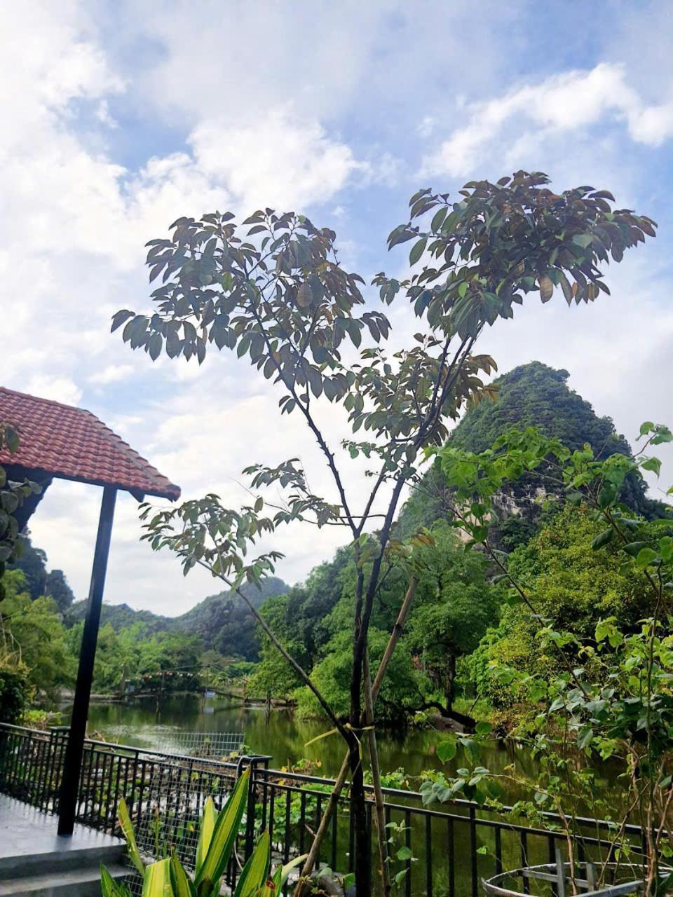 Trang An Hana Homestay