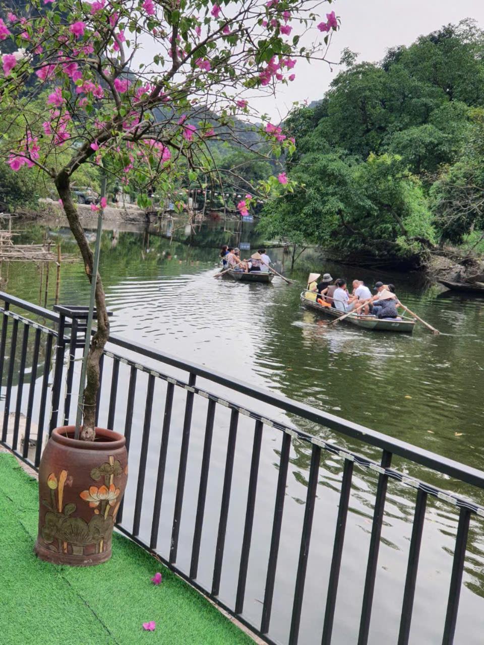 Trang An Hana Nguyen Ngoai