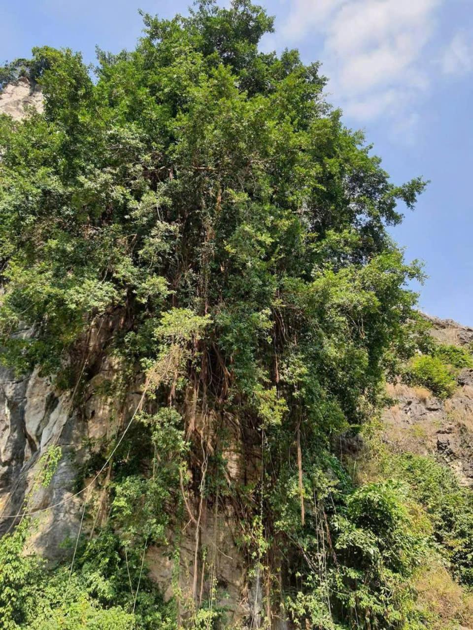 Homestay Trang An Hana